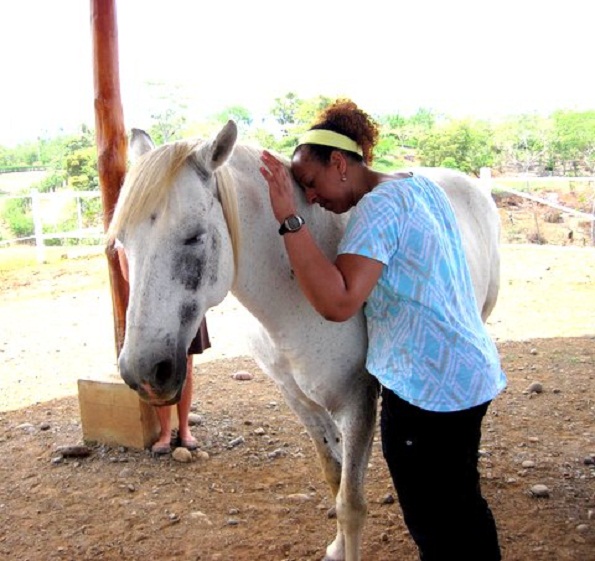 equine therapy costa rica